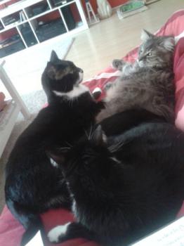 Ritzo Bild von Ritzo