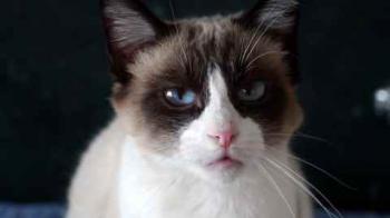 Cilia Bild von Cilia