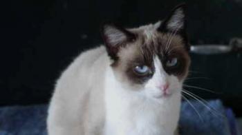 Cilia Bild von Cilia