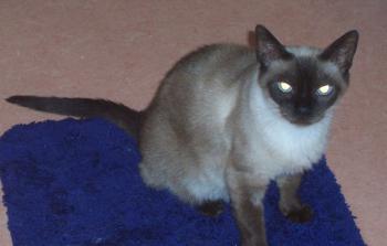 Sunny Bild von Sunny
