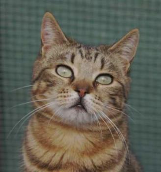 Nacha Bild von Nacha