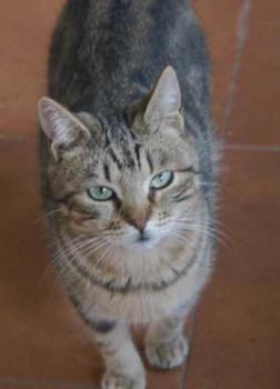 Nacha Bild von Nacha