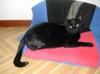 Tizon Bild von Tizon