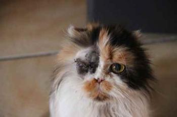 Ohne Namen 5947 Bild von Georgina