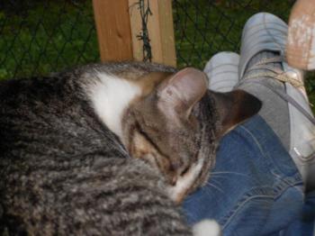 Happy Bild von Happy