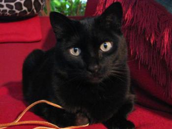 Hugo Bild von Hugo