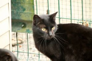 Black Bild von Black