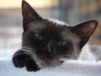 Riki Bild von Riki