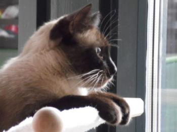 Riki Bild von Riki