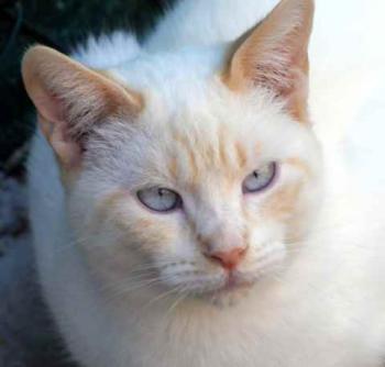 Bild von Sita