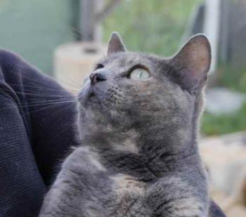 Aziza Bild von Aziza
