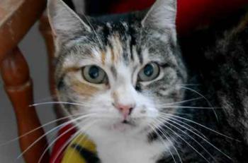 Cindy Bild von Cindy