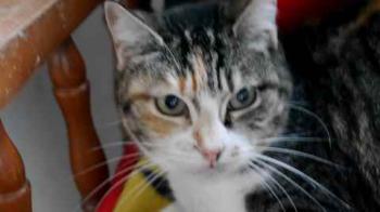 Cindy Bild von Cindy