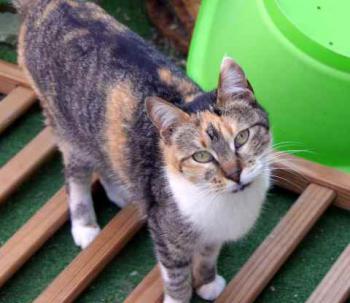 Susan Bild von Susan