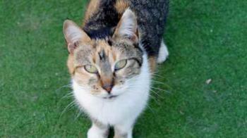 Susan Bild von Susan