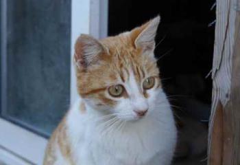 Bild von Mandy
