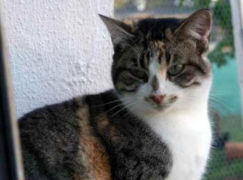 Lotte Bild von Lotte
