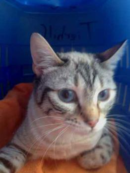 Yushila Bild von Yushila