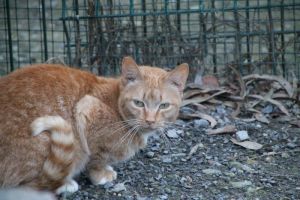 Bild von Mabel