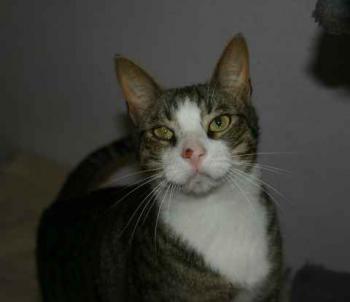 Brother Bild von Brother