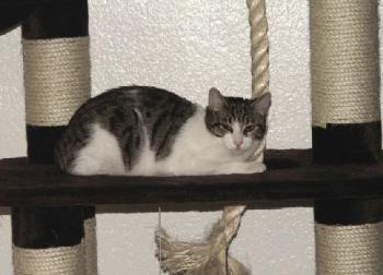 Irina in Deutschland Bild von Irina