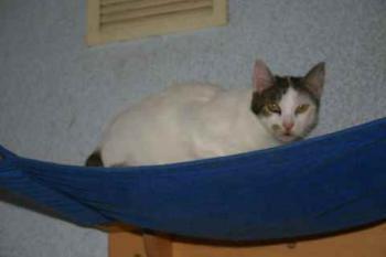 Bild von Mari