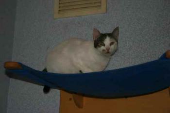 Bild von Mari