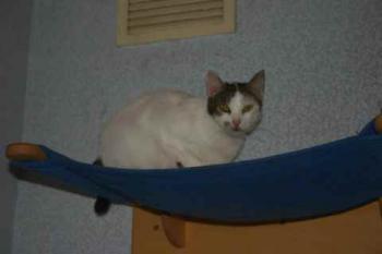 Bild von Mari