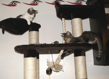 Irina und Llum Bild von Irina