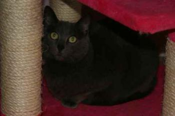 Lumen Bild von Lumen