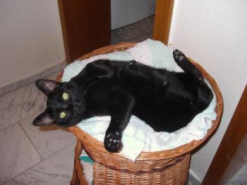 Lucia Bild von Lucia