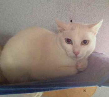 Paige Bild von Paige