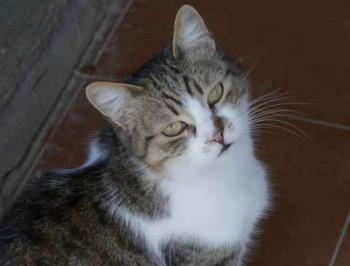 Miriam Bild von Miriam