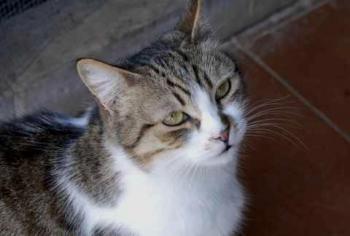 Miriam Bild von Miriam