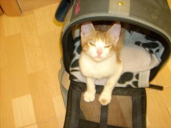 Leon Bild von Leon