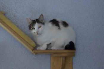 Bild von Mari