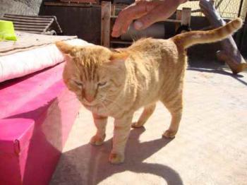 Bild von Cairo
