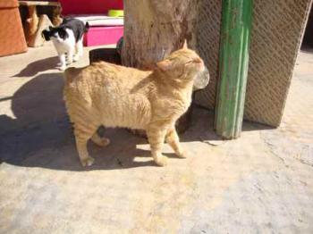 Bild von Cairo