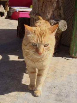 Bild von Cairo