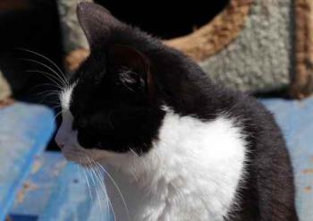 Polly Bild von Polly