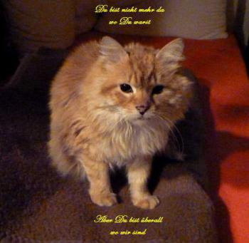 Bild von Micho