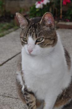 Mico Bild von Mico