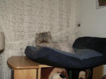 Minka Bild von Minka