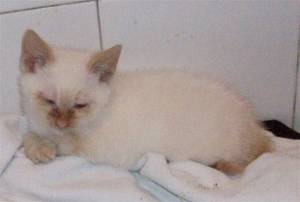 Ubaldo Bild von Ubaldo
