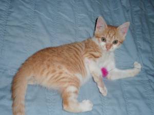 Sugar Bild von Sugar
