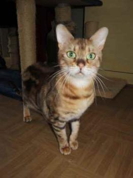 Sharina Bild von Sharina