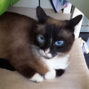 Gina Bild von Gina