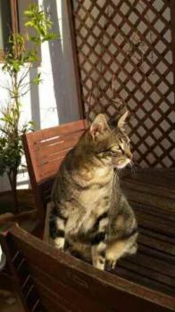 Trass Bild von Trass