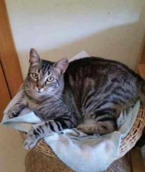 Trass Bild von Trass