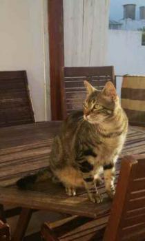 Trass Bild von Trass